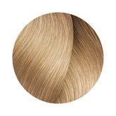 L'Oreal iNOA 10 60g