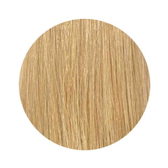 22'' Clip Extensions 100% Human Hair #18