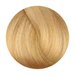 Fanola 10.3 Blonde Platinum Golden 100G