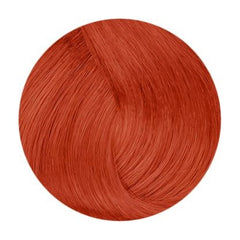 De Lorenzo Novacolor Intense Copper 60g